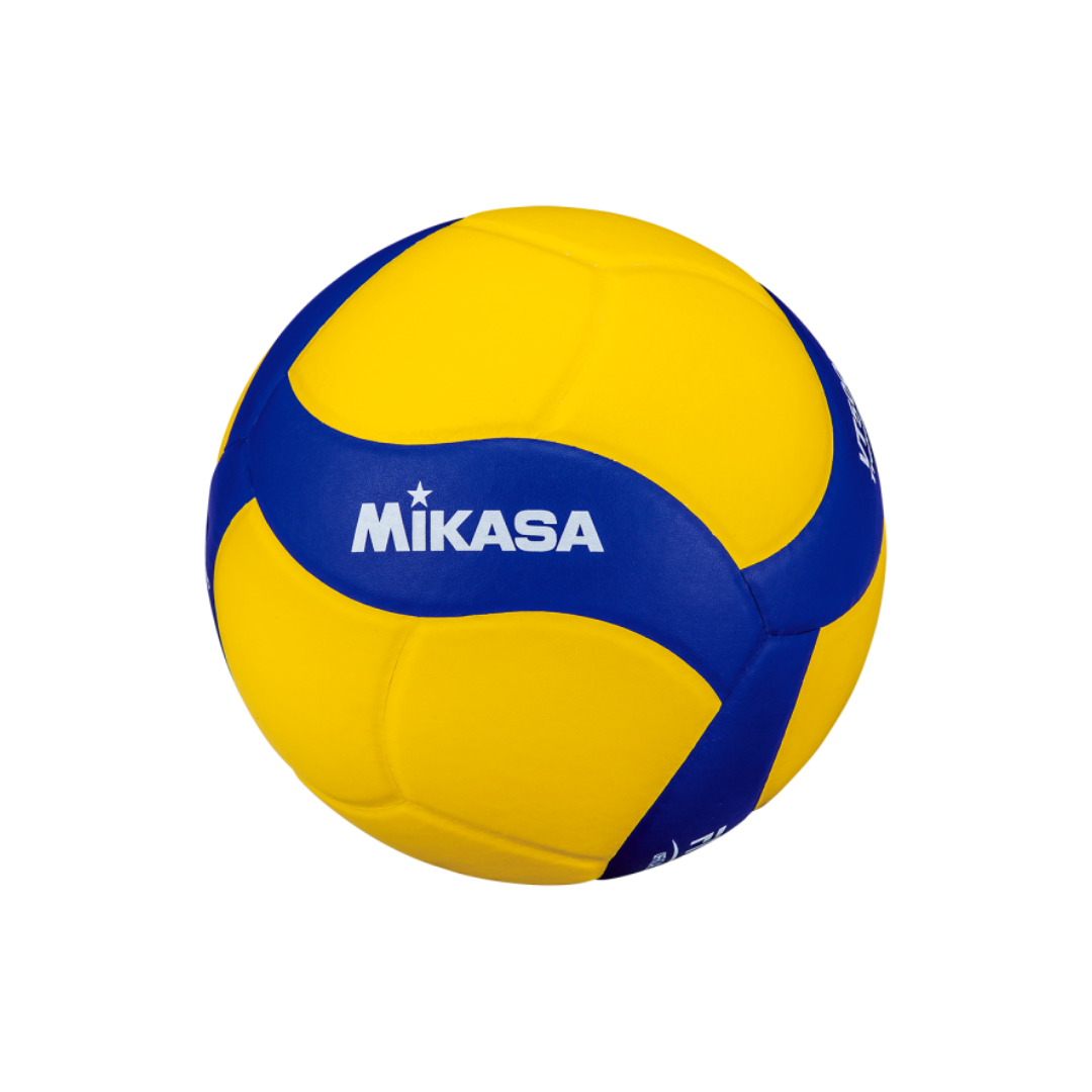 VT500W Heavyweight Training Volleyball
