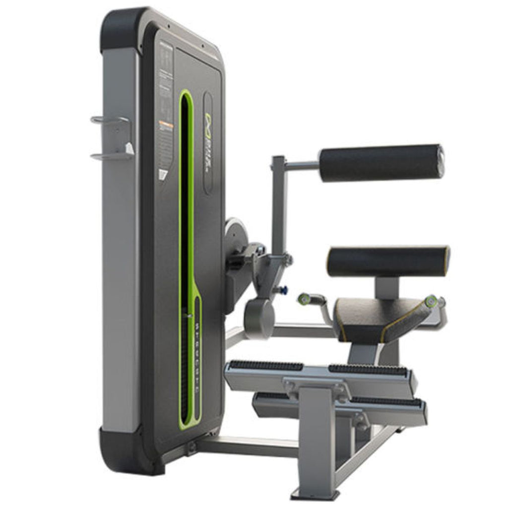 DHZ FITNESS BACK EXTENSION COMMERCIAL WEIGHT STACK