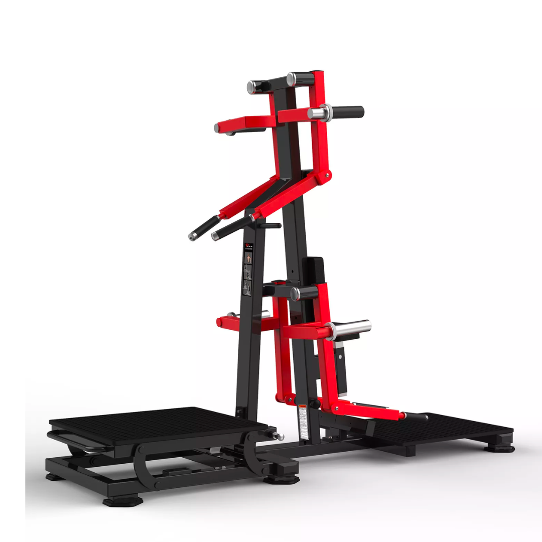 Realleader Standing Lateral Raise HS1050